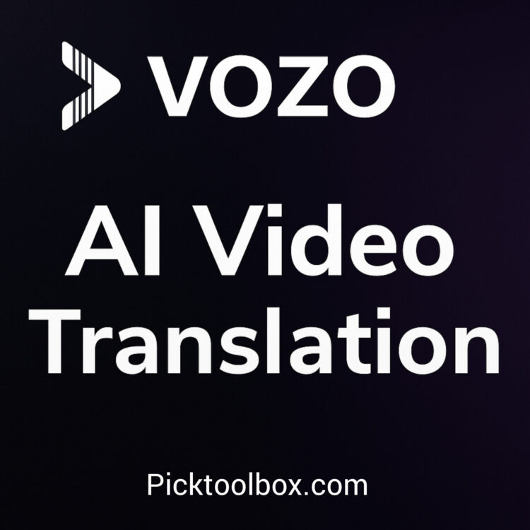 Vozo ai translation review